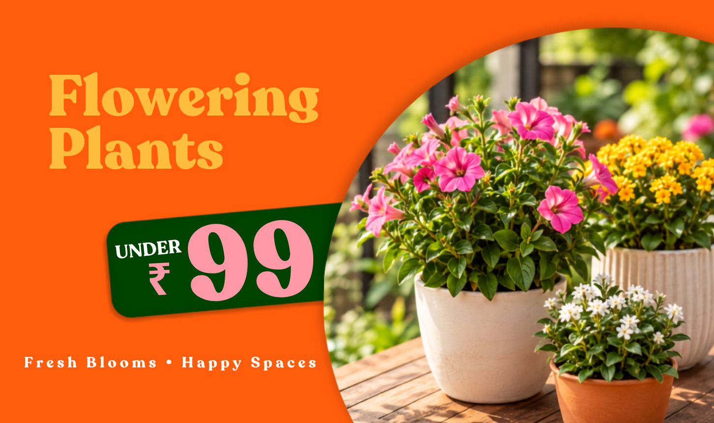 Flowering Plants under ₹99